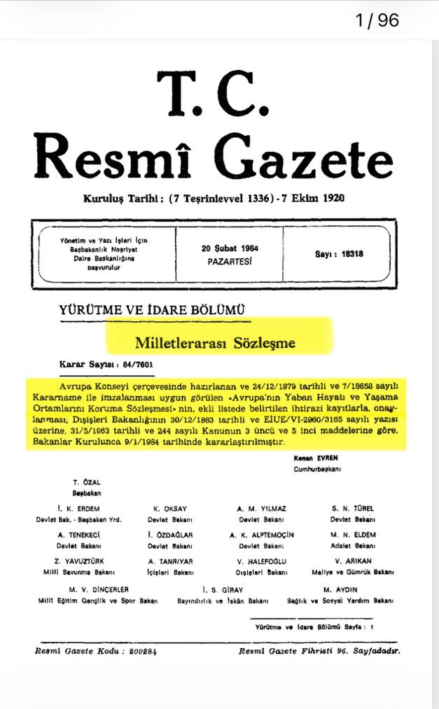 Devrim KOÇAK tweet media