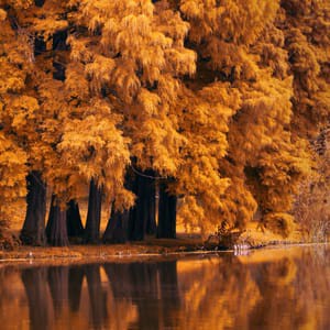 JJJ8399's tweet image. How #Gorgeous is this image