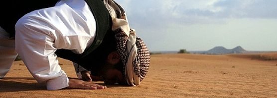 الفارضي 🇪🇬 tweet media