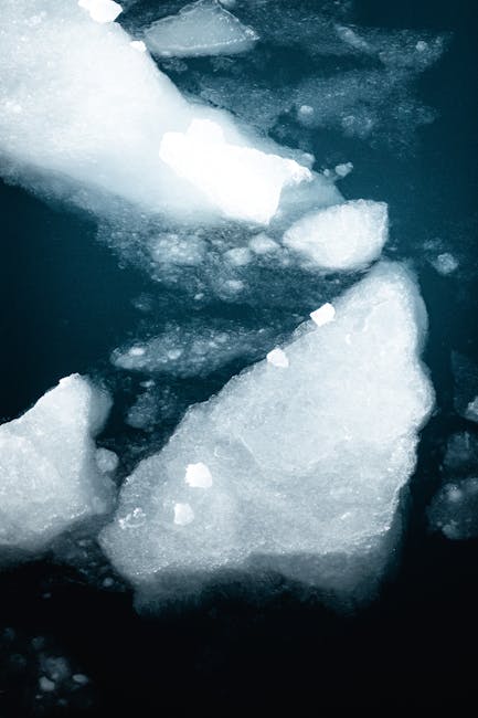 John Salazar tweet media