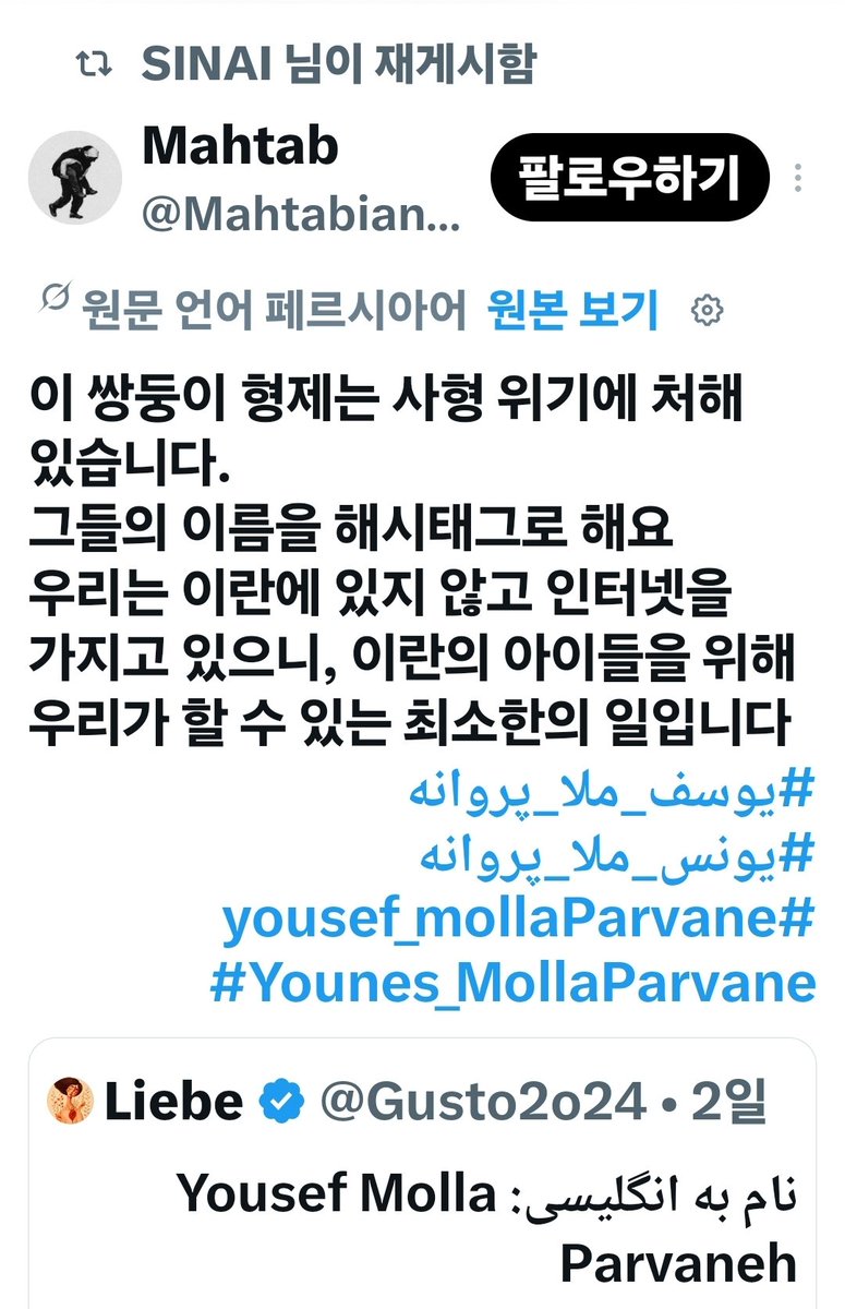 최볼리 tweet media