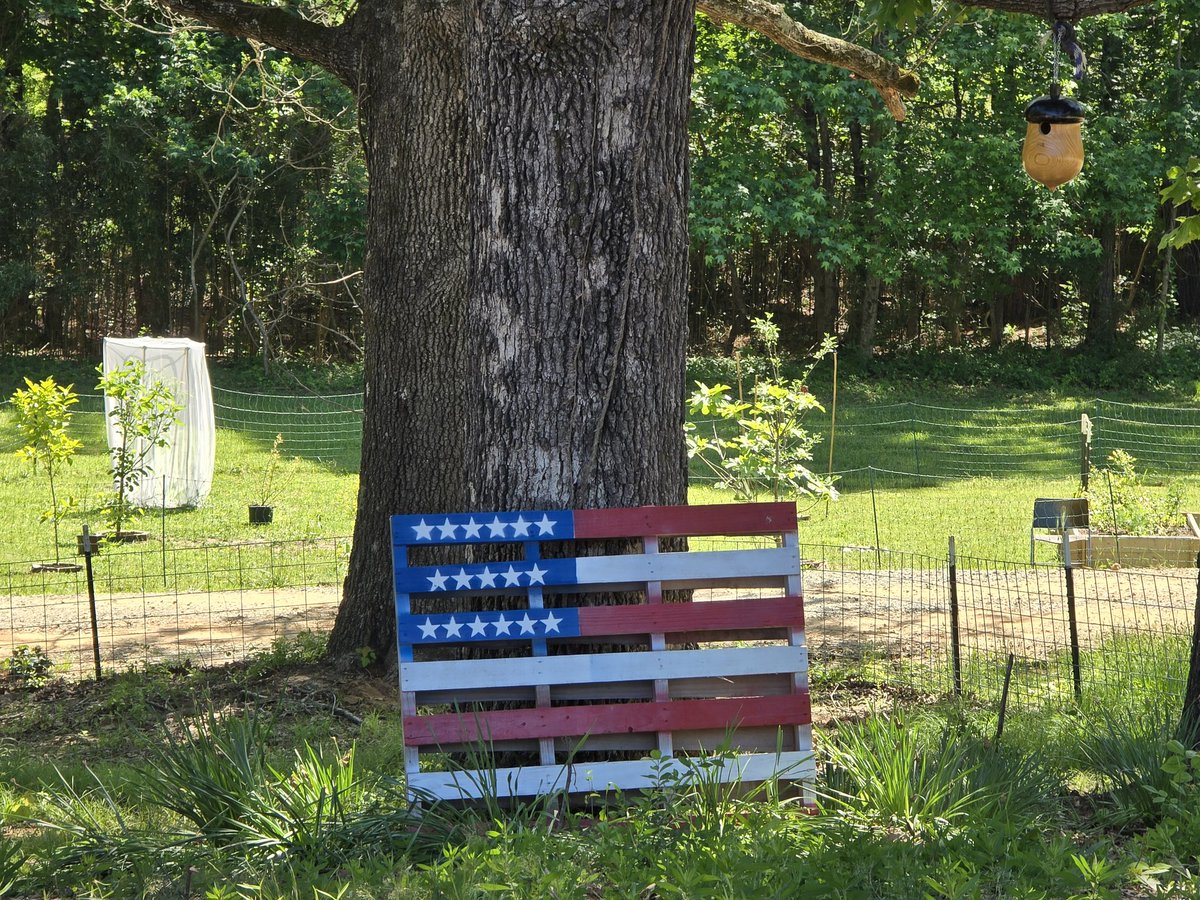 Johnnypatriot26's tweet image. Sunday Patriotic cleanse of the time line 🇺🇸

I started the secret project of painting an American Flag pallet before getting sick. 

Its taken me days to complete but what a patriotic sight to behold 🇺🇸🤘#MAGA #AmericaFirst