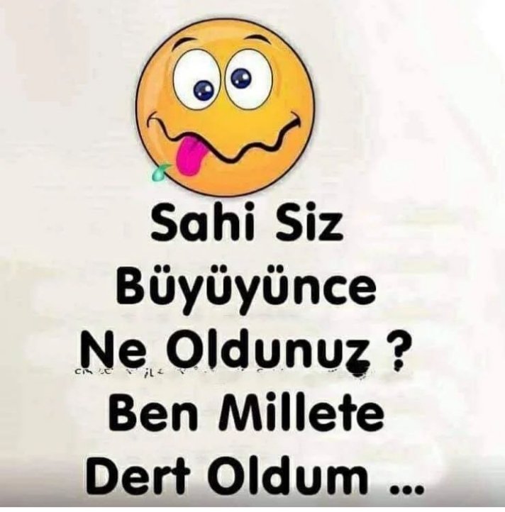 Türkan Buldum tweet media
