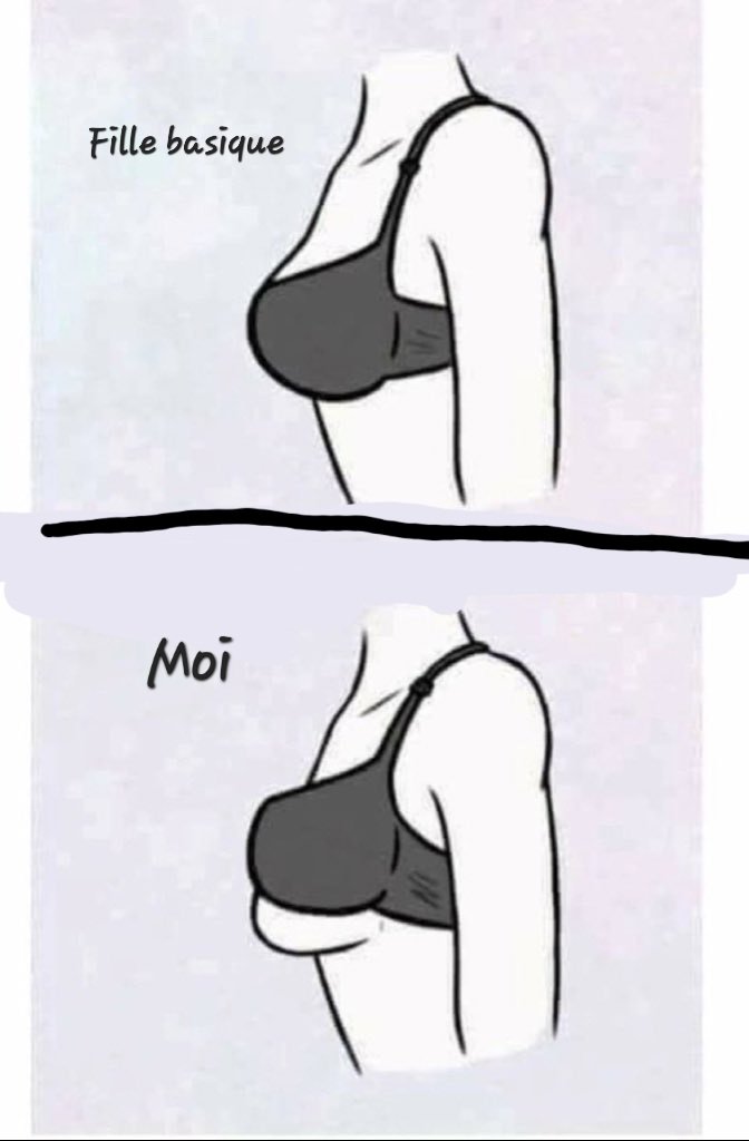 La plus belle tweet media