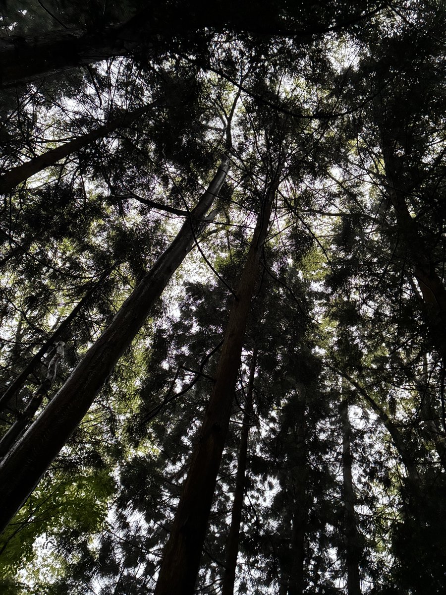 pooroletariat's tweet image. #photo #photography