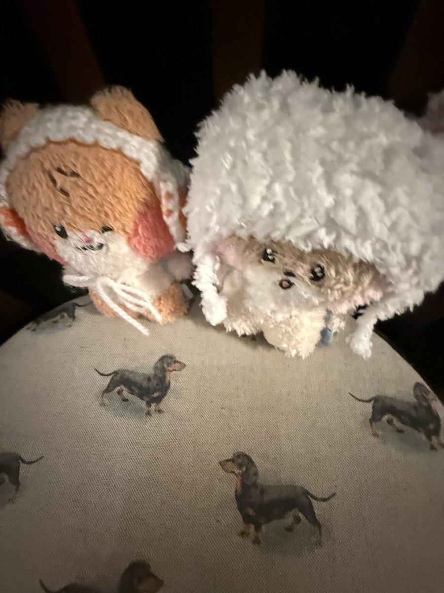 binniiehearts's tweet image. hey im back after some days of kind of inactivity but heres hanibini at the dachshund museum #smile #healing