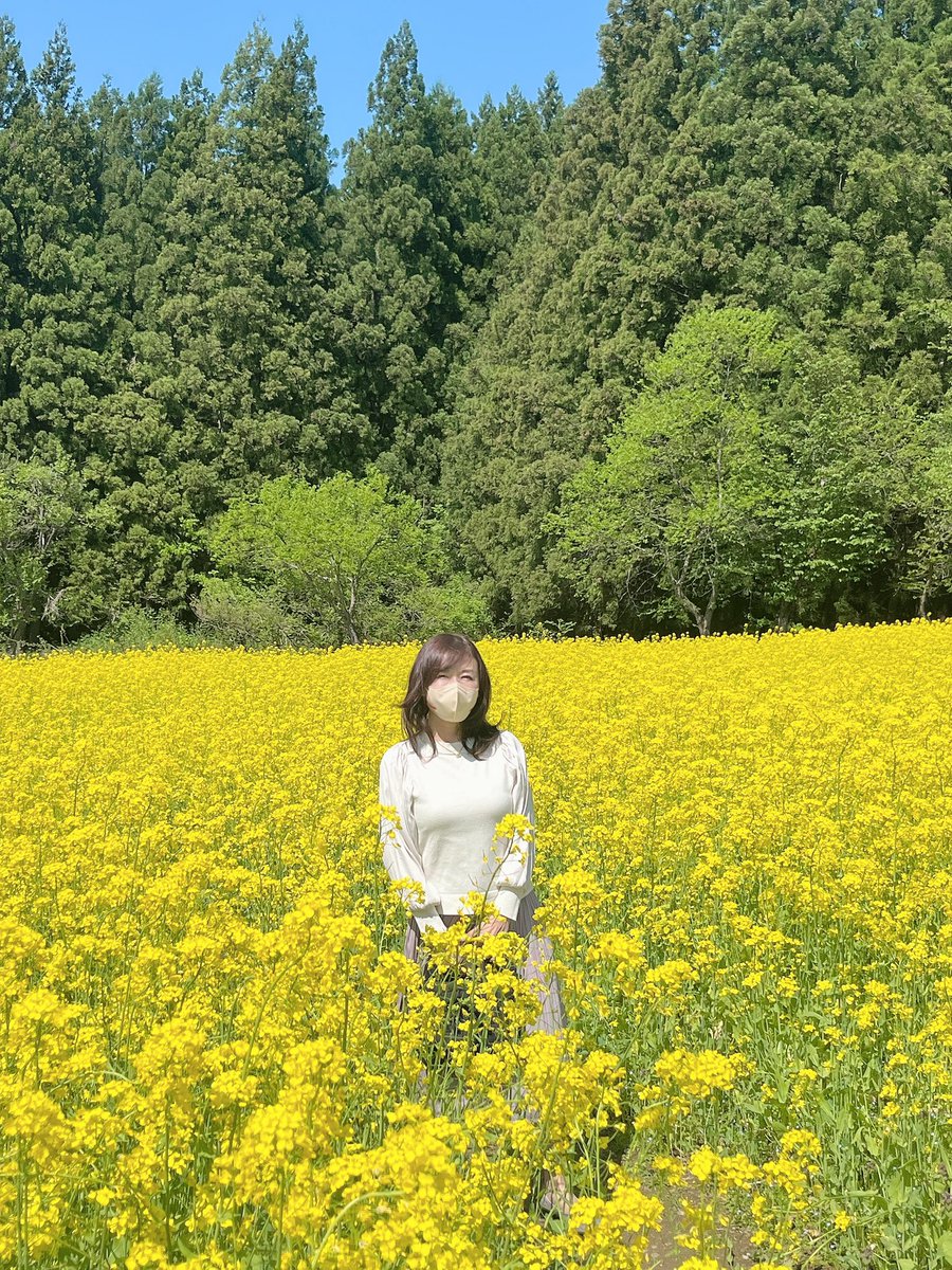 石塚かおりのBrand new day tweet media