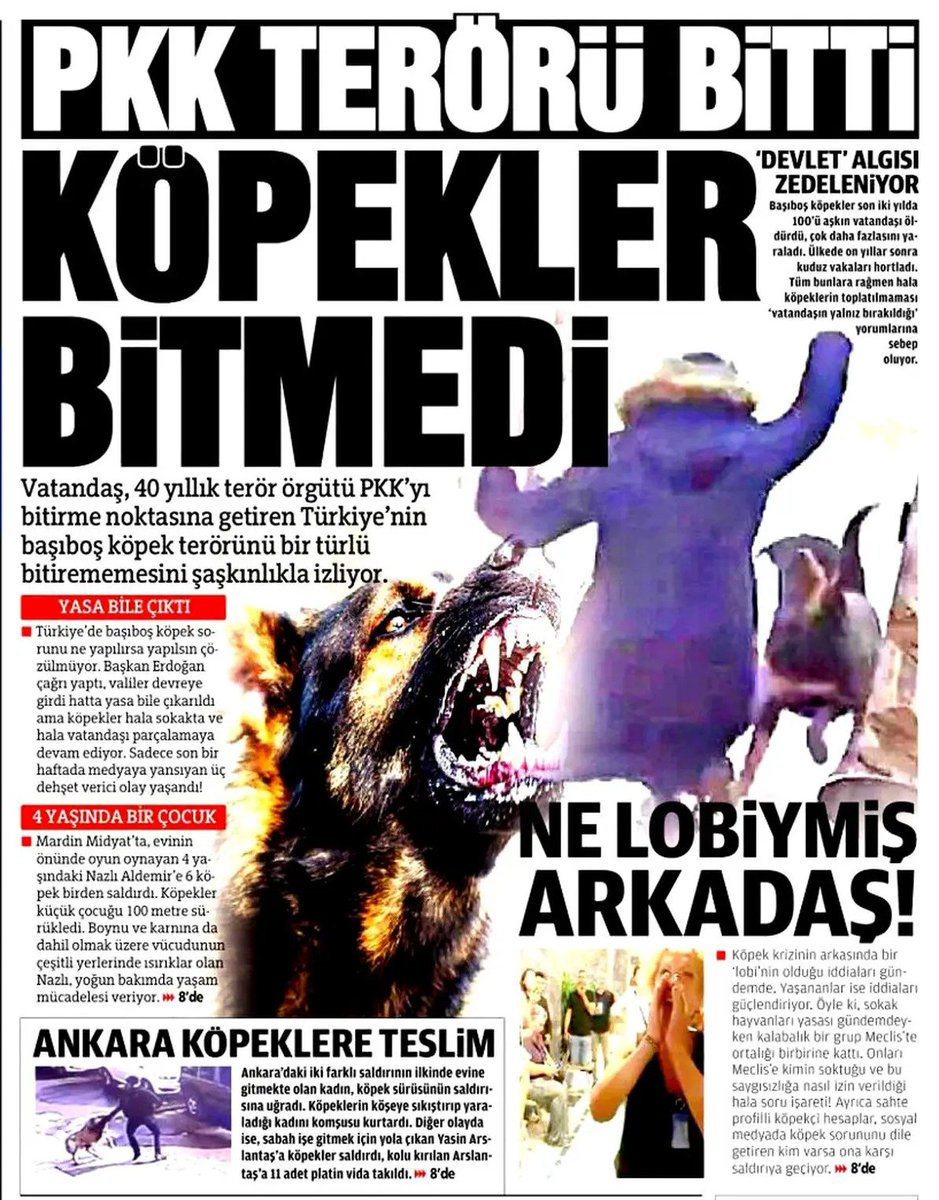 Hem-Razî tweet media