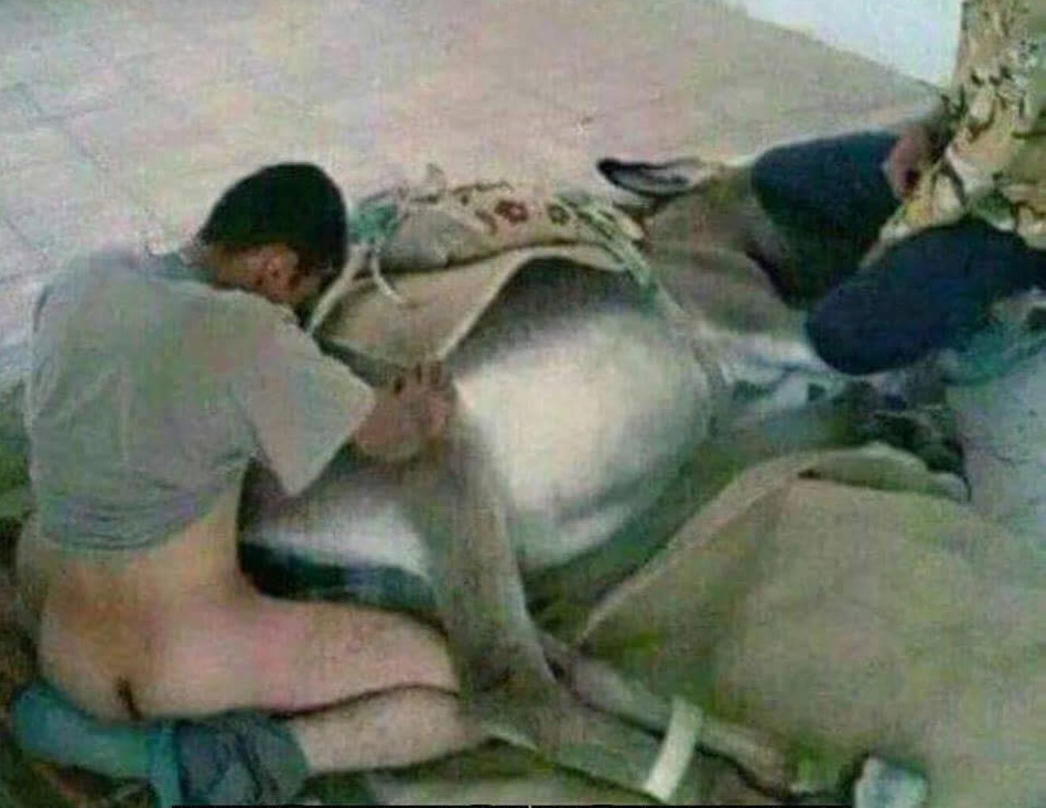 vanvlietma56864's tweet photo. @P0eMPieDinges Ze vinden seks met dieren heel gewoon. Net als de #vvd trouwens. Vandaar dat #vvd destijds pleitte voor toestromen islam vanuit achterlijke islamlanden als Turkije en Marokko. #wiegel bijvoorbeeld en later die andere proleten van #vvd #pvda #pronk https://t.co/xOO5Ipw632