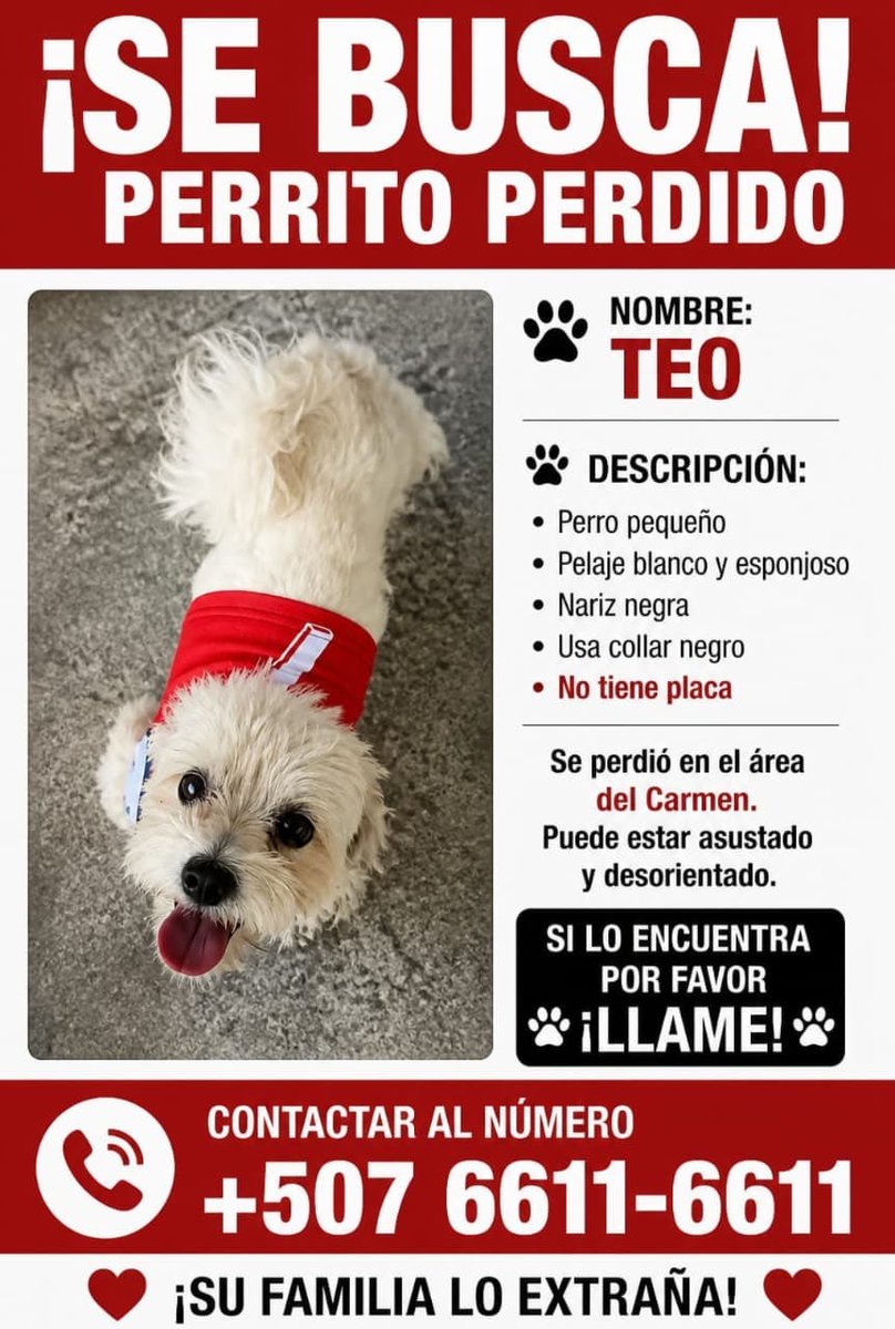 ivetteodalys's tweet image. AYUDEMOS A TEO!!
FAVOR COMPARTIR 🙏🏽⬇️
