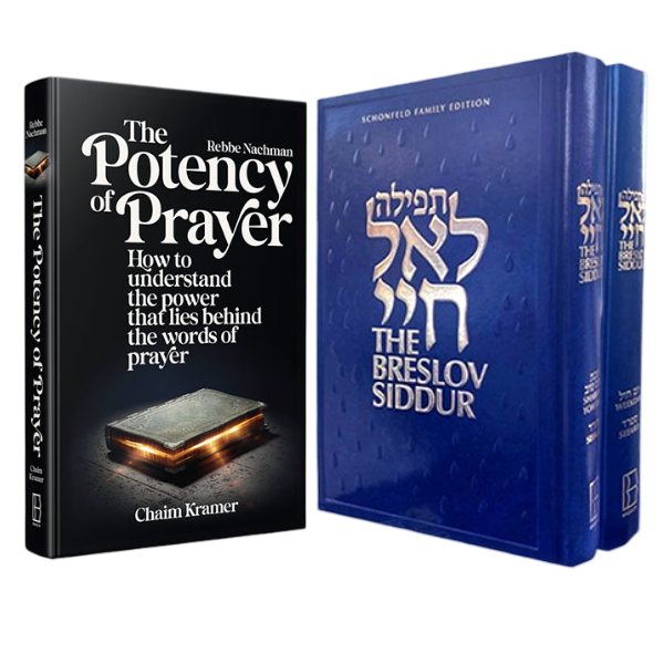 Breslov BRI tweet media