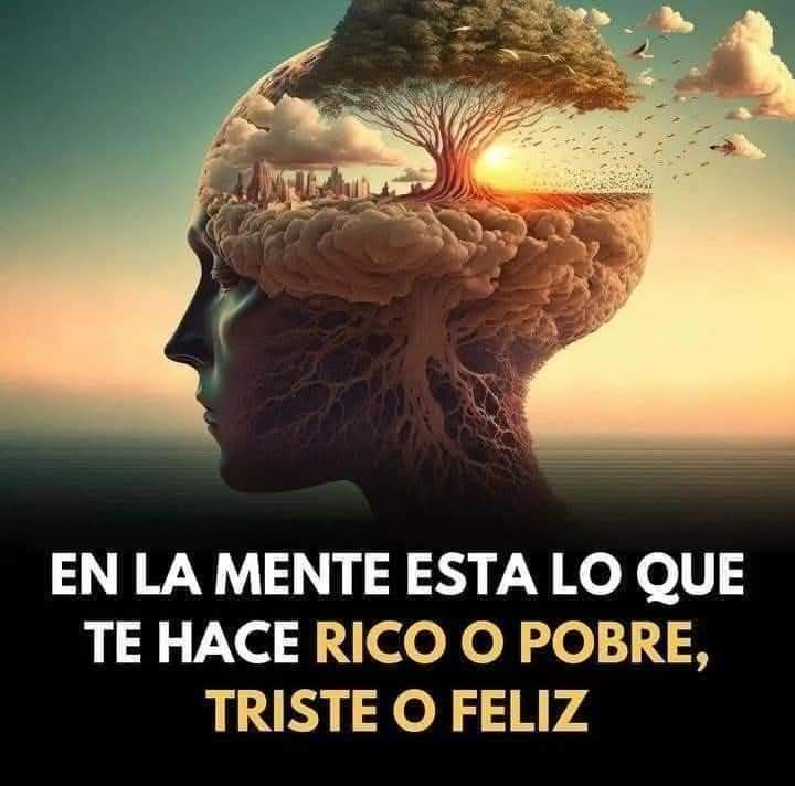 Gerardo Rodriguez N tweet media