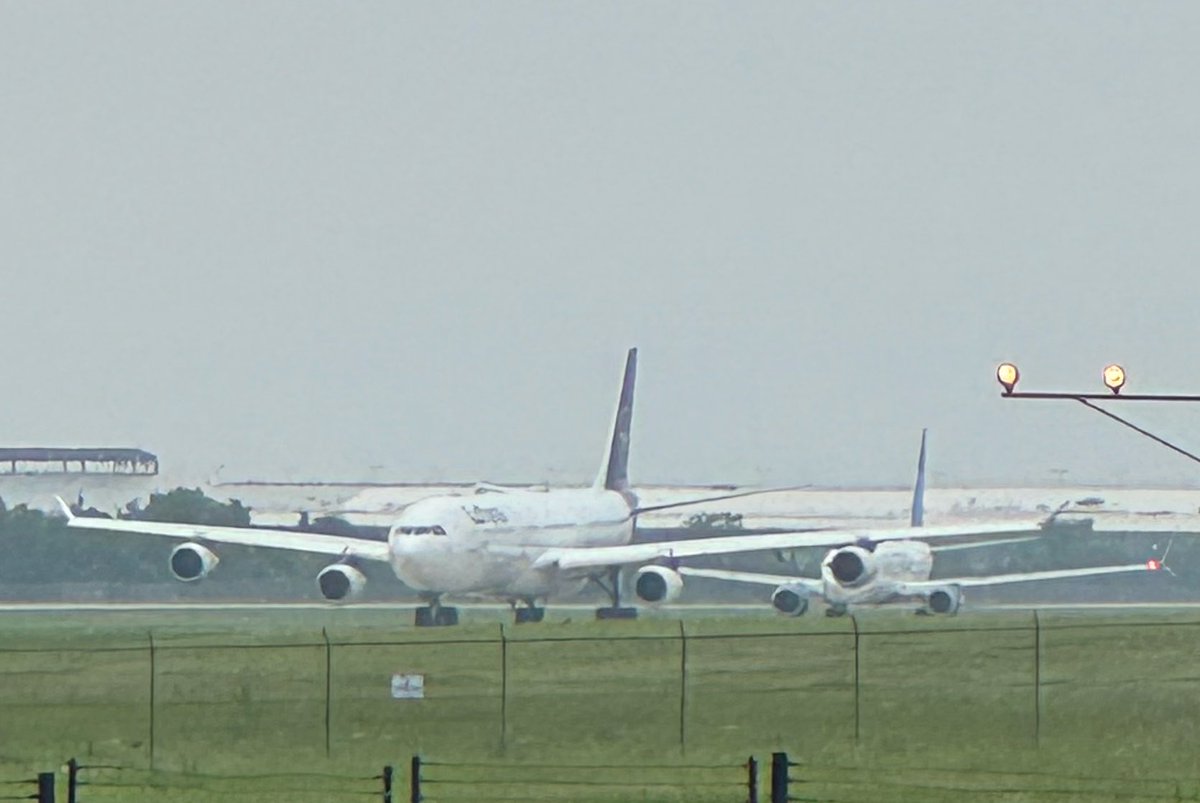 DefaultFurr's tweet photo. Fursona + Favorite Plane! 

I see railfurs all over my timeline, where’s my avgeeks? 👀

(RIP to Lufthansa’s 340’s in October❤️‍🩹) https://t.co/HVMhIhod4T
