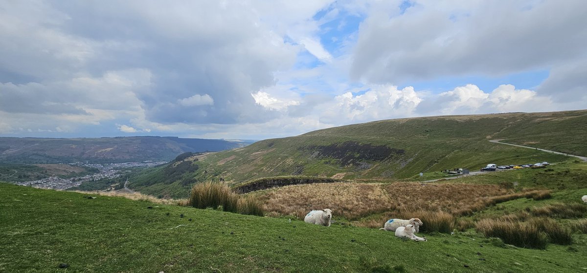 NoTime4Sarcasm's tweet photo. Bwlch Mountain looking over to Treorchy, Rhondda, with lambs and sheep grazing, South Wales. May 2026. https://t.co/PNQPwccdJ7