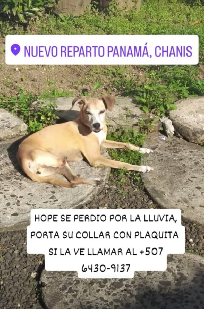 Ivette Berrio tweet media
