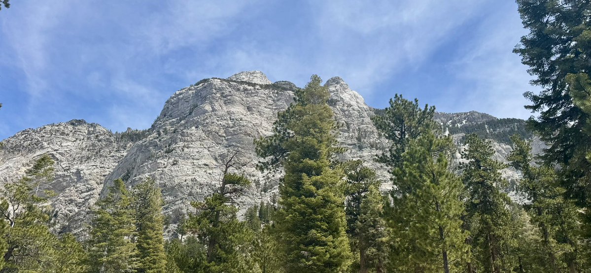 Mt Charleston Mountain Man tweet media