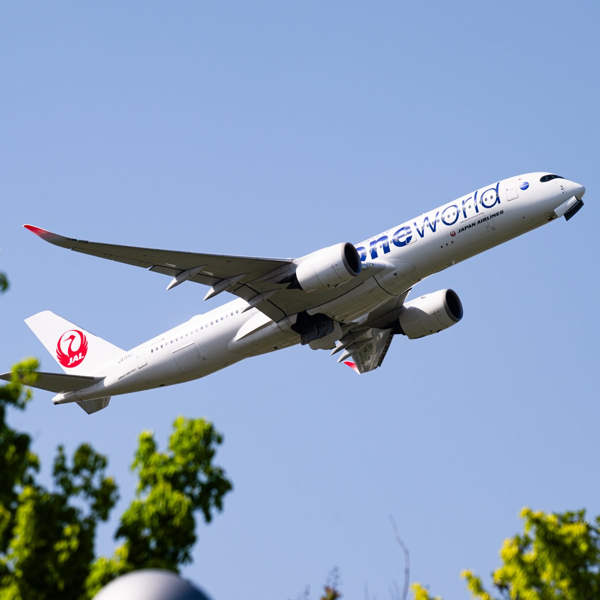 r28gou3's tweet image. 朝陽を浴びて舞い上がるワンワールド塗装A350。
One World lively A350 flies up bathed with Morning Sunshine.

#AirBus
#A350
#JAL