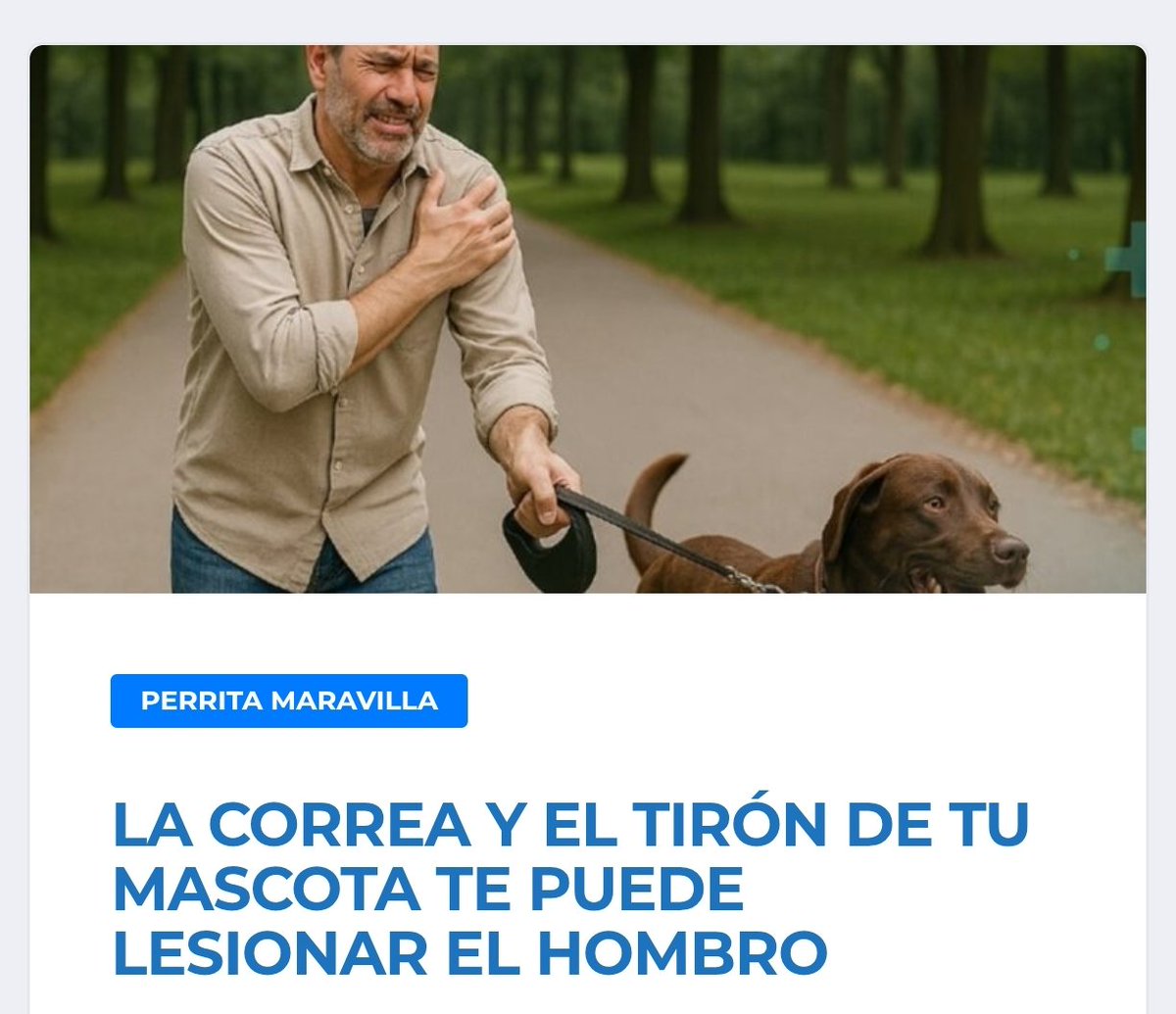 ALERTADESISMO's tweet photo. LEER NOTA AQUÍ 📌 https://t.co/98W0niP8je https://t.co/k64d584ta7