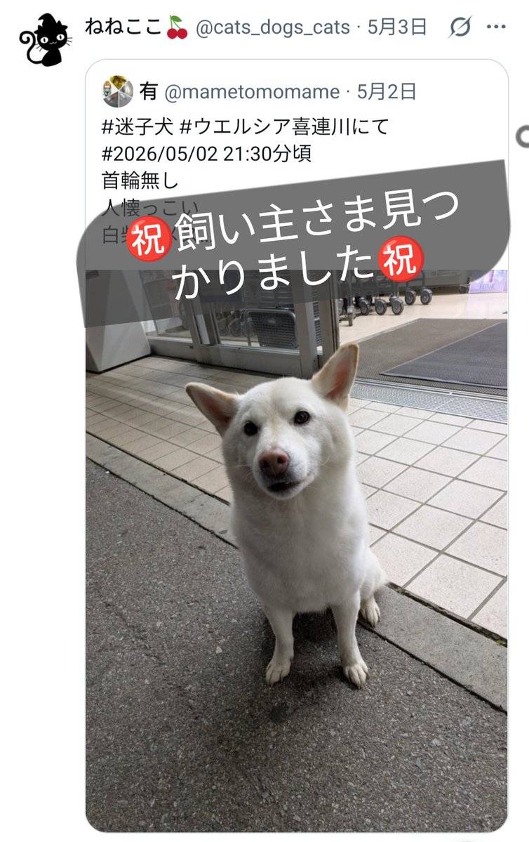 ねねここ🍒 tweet media