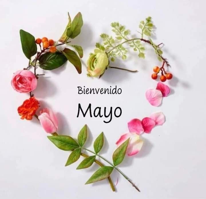 Patri_0201's tweet photo. @hada_protectora @GabyGrassino @Alma_enpositivo @Matpaiper Gracias!! Buen domingo para todas, queridas amigas!! 💖💗✨️💐 https://t.co/w9Aa0e92D7