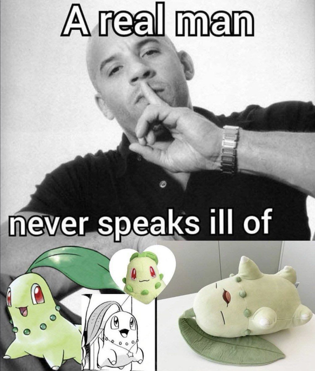 Pokémon Daily (@pokemon_dailyy) on Twitter photo 