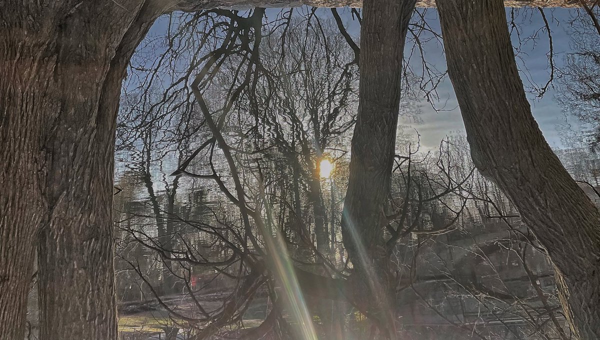 timvarian's tweet image. #prospectpark #brooklyn #newyorkcity #NatureIsAwesome #naturephotography #citylife #photooftheday #newyorkstateofmind #brooklynphotography