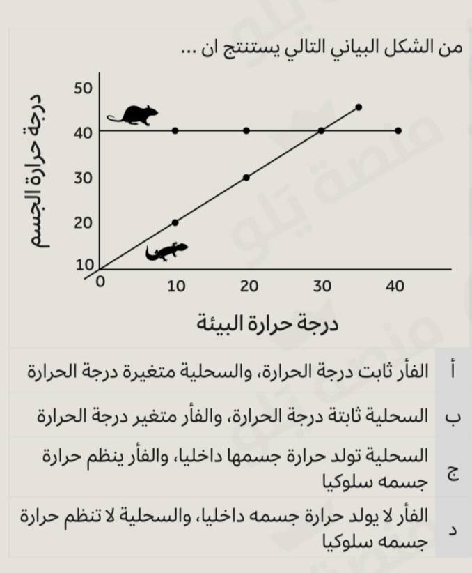 ماجد . tweet media