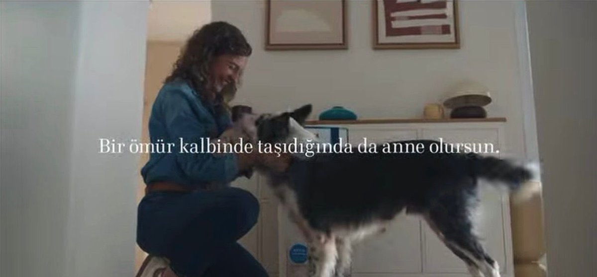 MAH Ajansı tweet media