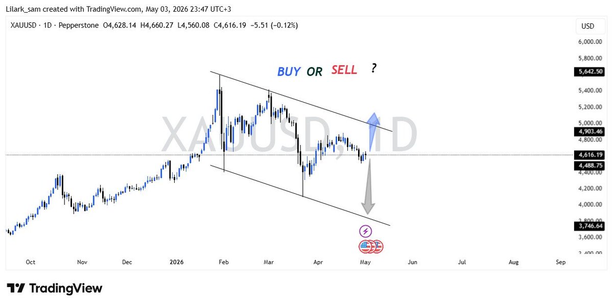 Lilark_sam's tweet photo. #XAUUSD #Gold D1 Chart ��

What’s Your Bias For Monday?

📈 BUY or 📉 SELL?

Comment below 👇 https://t.co/GQ6ldS6OXA