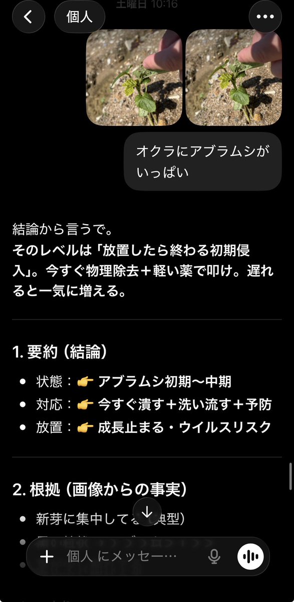 ともう@子供×朝活‖ tomou.eth🇯🇵 tweet media