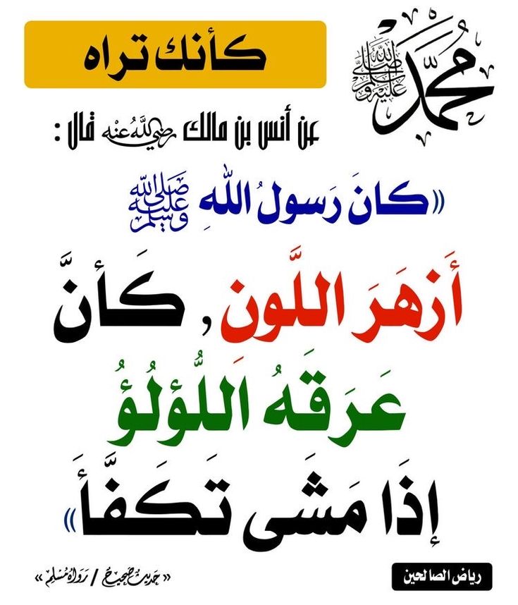 ﴿وَالقُـــرآنَ العَظيــــمَ﴾ tweet media