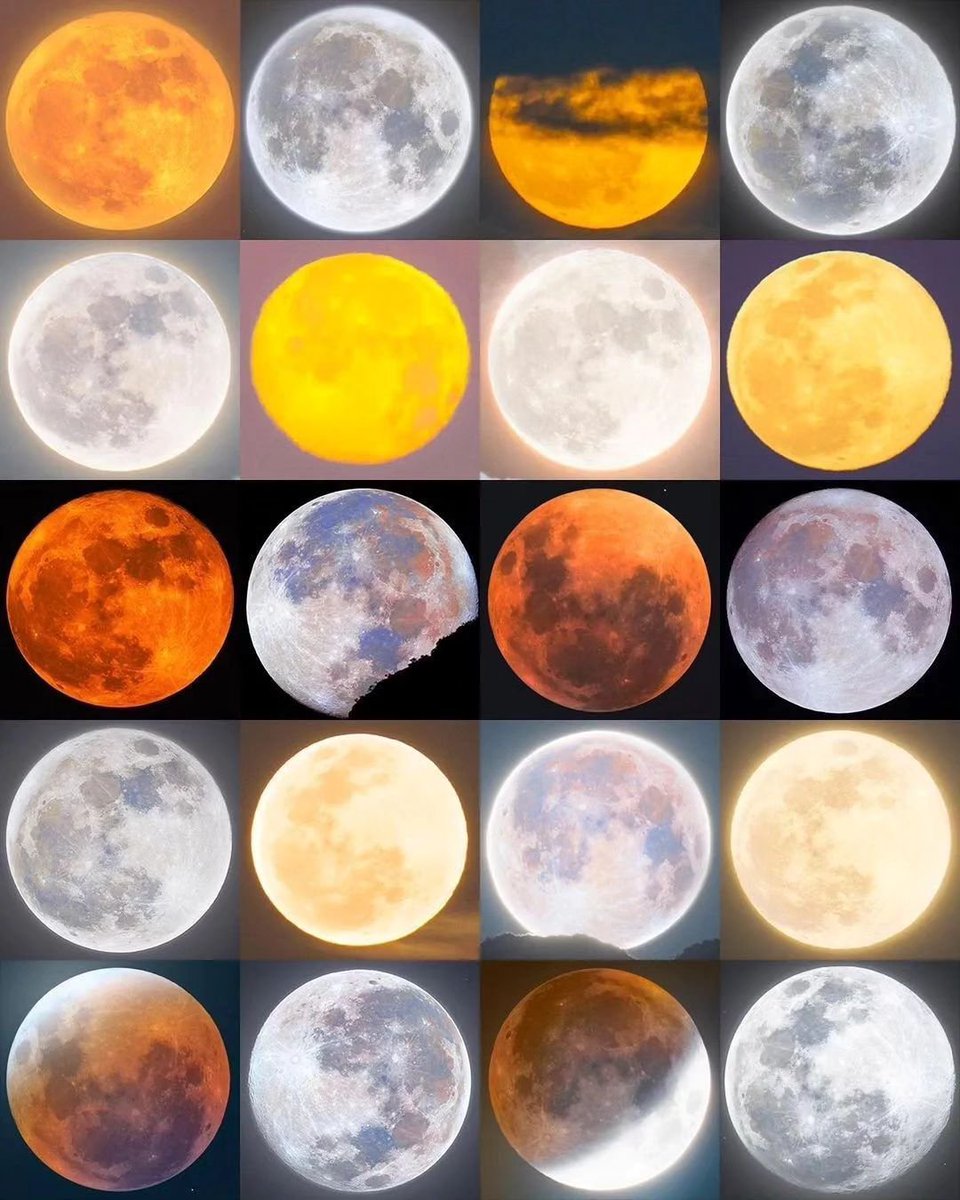 La Luna tweet media