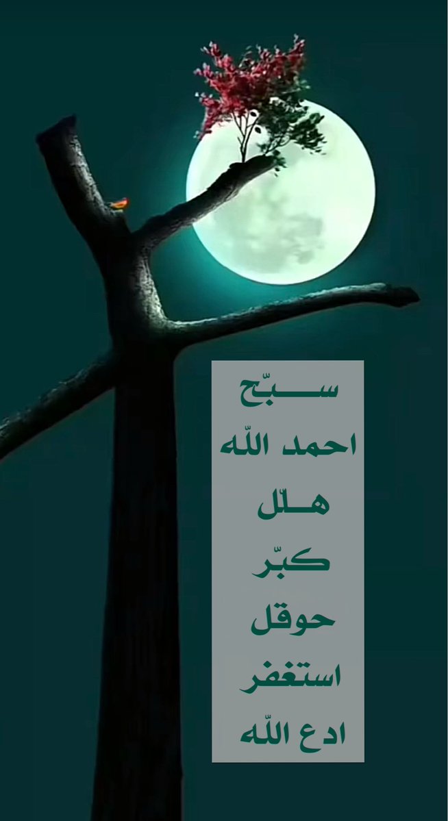 إبراهيم عليلي Ibrahim Alili tweet media