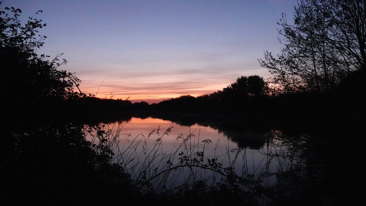 conservationvst's tweet photo. Our Dawn Chorus Walk was a great success and worth the very early alarm! Such a beautiful event to experience, we highly recommend listening to the birds in their full Chorus, plus the beauty of watching the sunrise too. 21 attendees loved the special walk at Hendre lake https://t.co/YL90gifjch