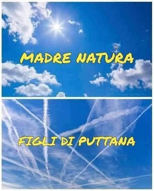 Anna 🪄⚡ tweet media