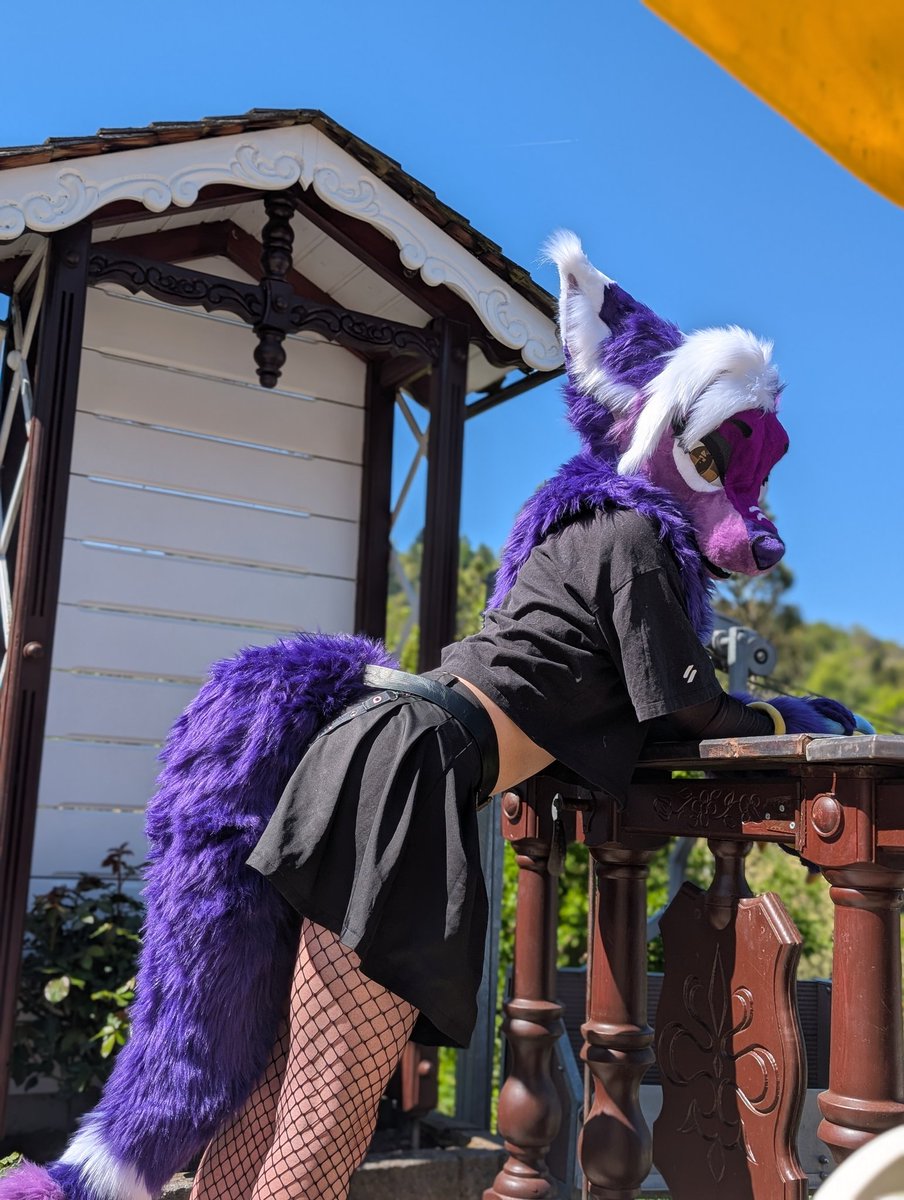 Bat_Cattitude's tweet photo. I'll be at #FWA2026!! Please say hi if you see me, it'll be my first time at any US con🥺💜

Do:
✅ Say hi
✅ Ask for hugs and stickers
✅ Invite me for roomparties and drinks
✅ Give me uppies

Don't:
❌ Be a creep
❌ No inappropriate touching
❌ Throw me off the hotel floors https://t.co/GZzT5E4AGc