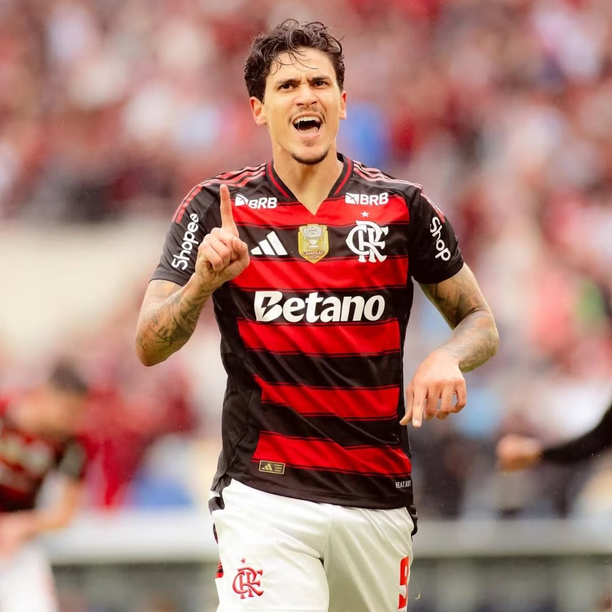 MANUAL DO JOGADOR RUIM tweet media