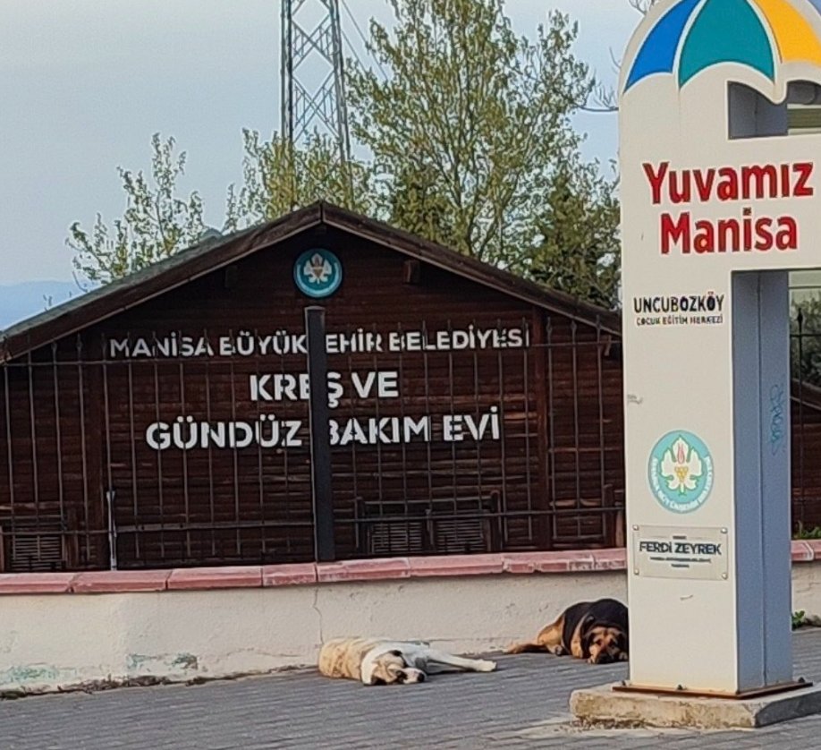 Güvenli Türkiye tweet media
