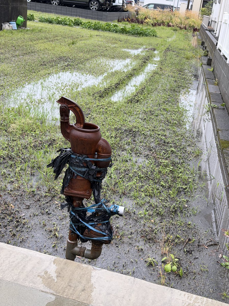 たきれんtakiren ทาคิเรน tweet media