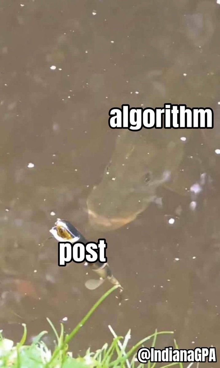 G-PA tweet media