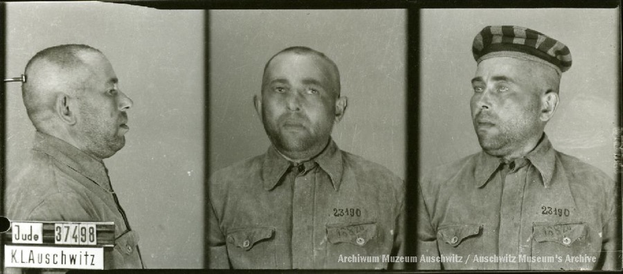 Auschwitz Memorial tweet media