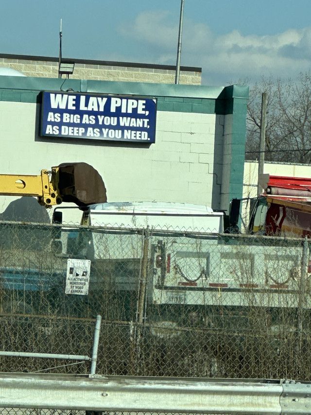horse dentist tweet media
