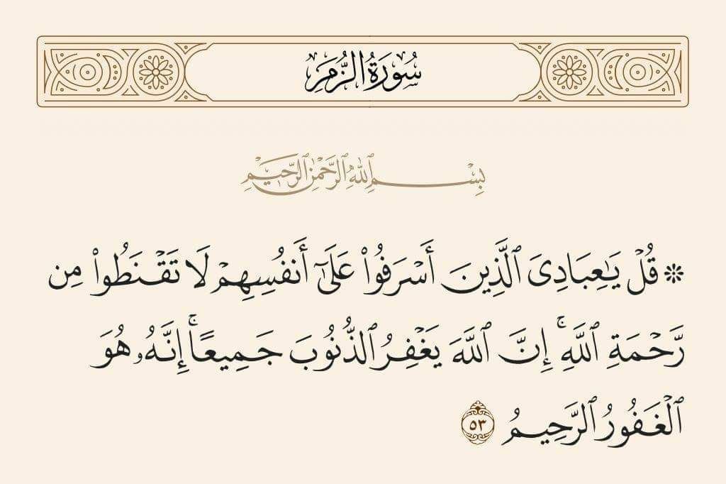 عبدالله tweet media