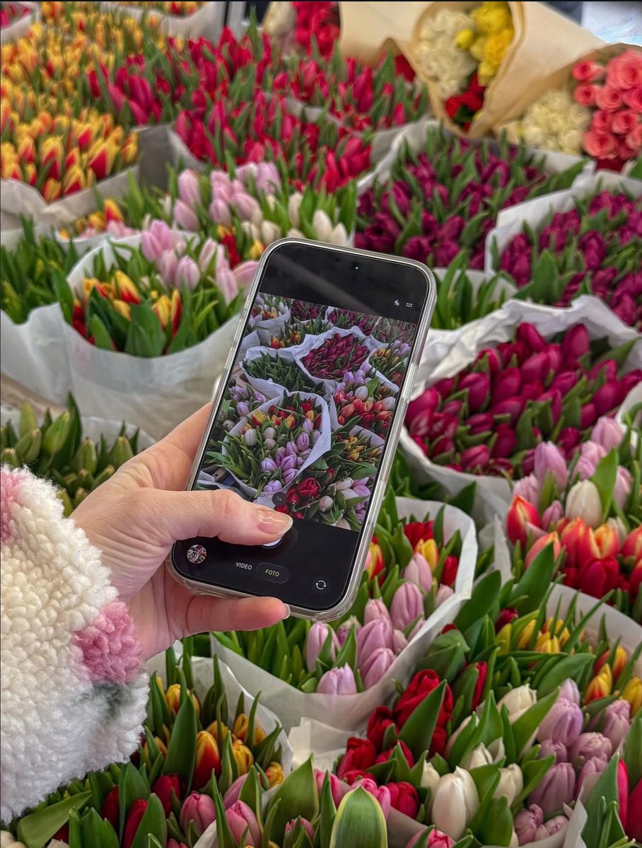 Bloomify tweet media