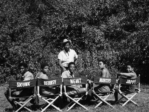 JusticePlummer's tweet photo. When the algorithm got it right 😌 I watched The Learning Tree (1969) today for the first time ever after coming across it on IG from The Screening List. Gordon Parks film eloquently explores the complexities of race in America. 🎬🎥📽️ #thelearningtree #gordonparks #films https://t.co/Qu7sYU6t7G