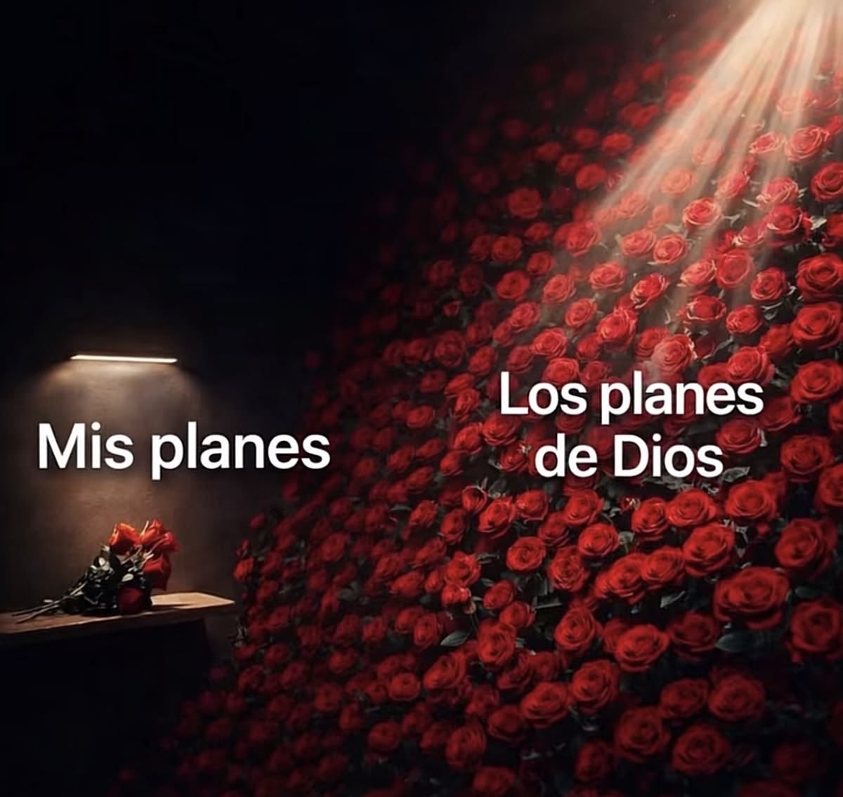 Sabelotodo (@eligeespecial) on Twitter photo 