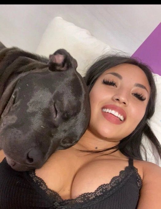 Dog Queen tweet media