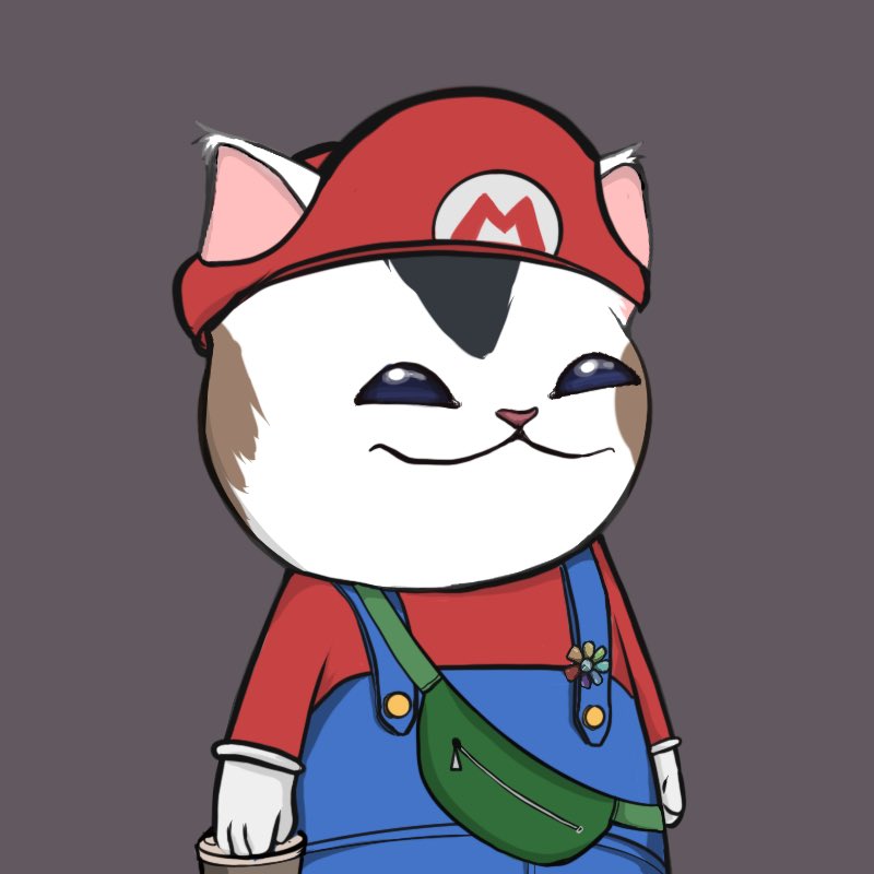 Caticals tweet media