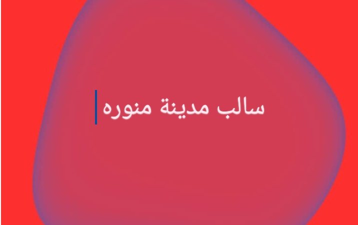 WALISAMI tweet media