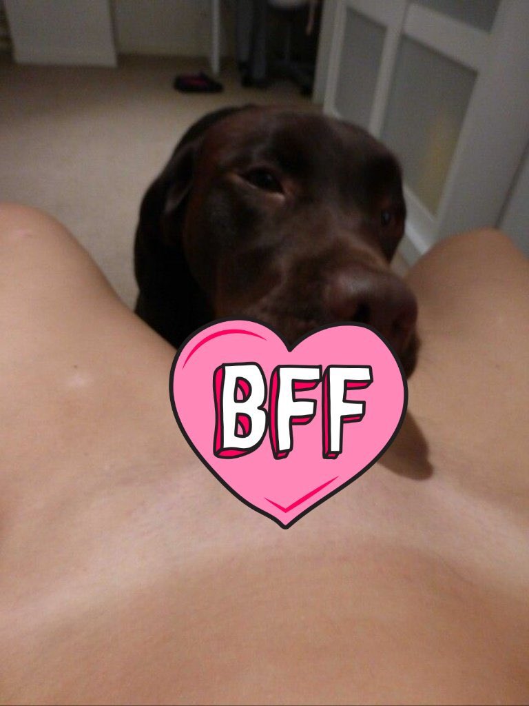 Dog Queen tweet media